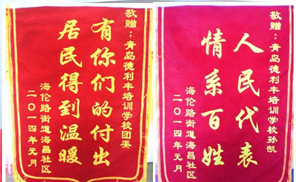 人大代表办实事 社区感谢送锦旗